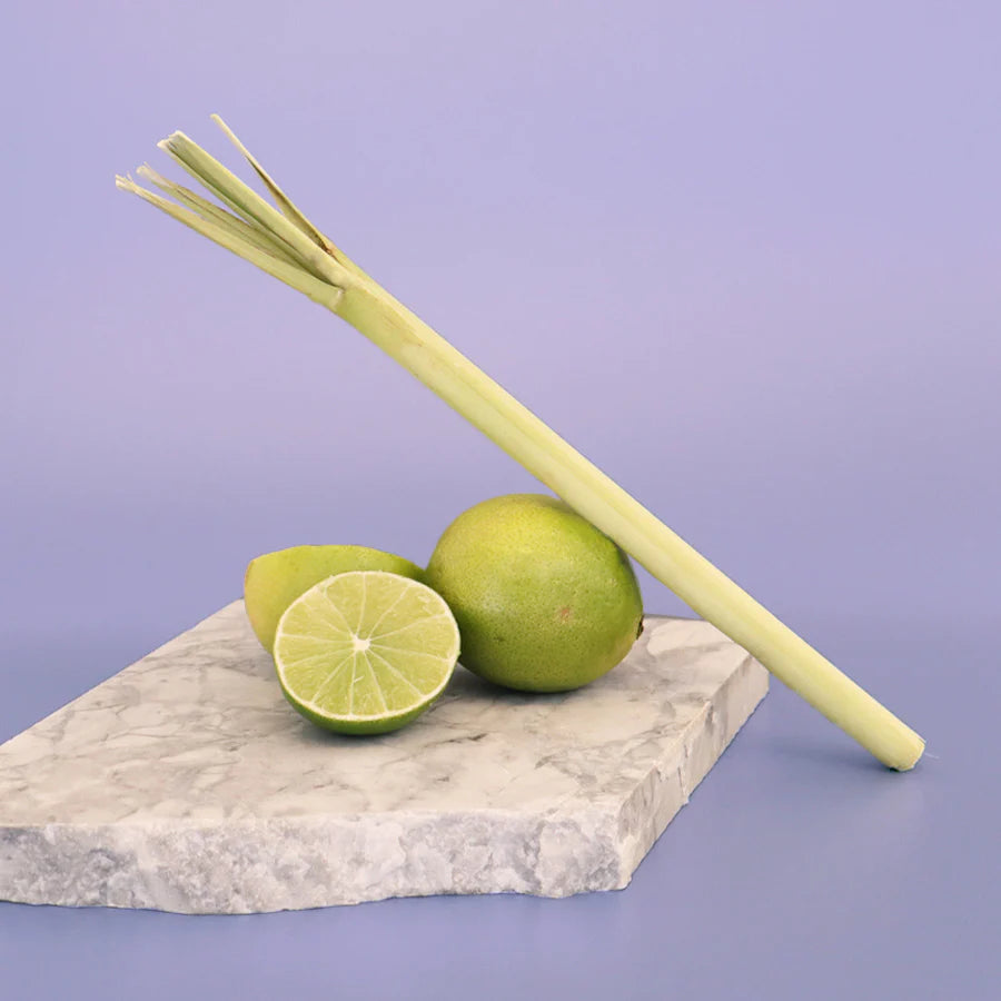 Lemongrass & Persian Lime - Diffuser